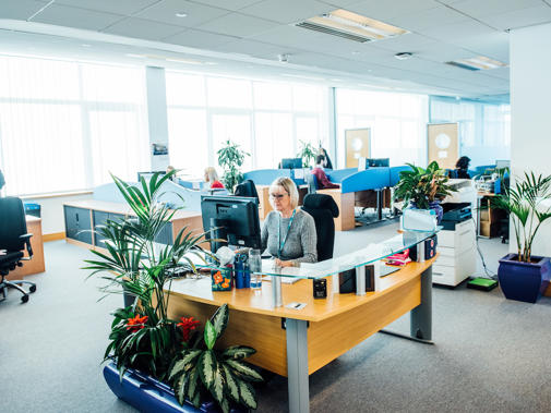 Staff working at their desks in the BMA Wales office